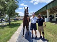 2YO Colt by Flameaway, out of the mare Livermore Valley. OBS June Sale.