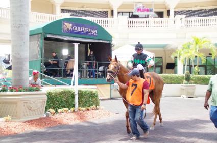 Scat Daddy filly Lisa Limon wins going away in a competitive allowance at Gulfstream Park on April 29, 2018.