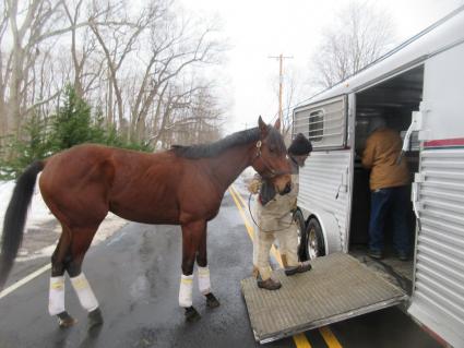 Seven Seven heads to Belmont Park on February 5, 2021 (Jeanne Vuyosevich)