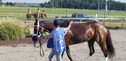 Tracy Ann's Legacy in Race 9 at Colonial Downs on August 23, 2021 (Paul Callahan)