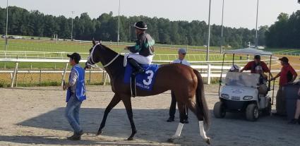 Tracy Ann's Legacy in Race 9 at Colonial Downs on August 23, 2021 (Paul Callahan)