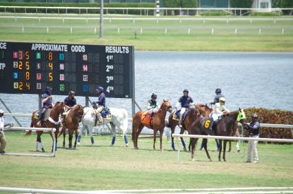 Scat Daddy filly Lisa Limon wins going away in a competitive allowance at Gulfstream Park on April 29, 2018. 