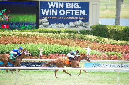 Scat Daddy filly Lisa Limon wins going away in a competitive allowance at Gulfstream Park on April 29, 2018.