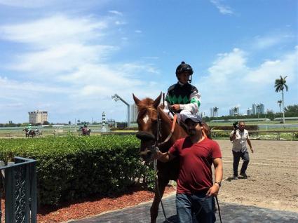 Scat Daddy filly Lisa Limon wins going away in a competitive allowance at Gulfstream Park on April 29, 2018.