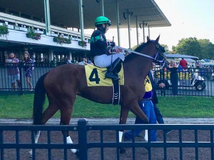 New Found Treasure in race 13 at Monmouth Park on July 27, 2019 (Robert Bulgar)