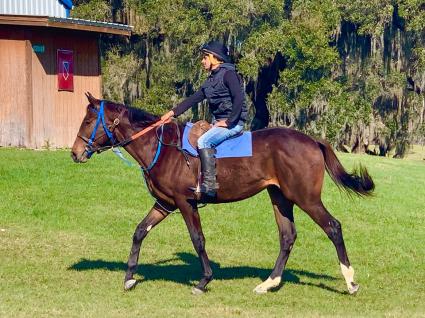 Jump Start - Exchanging Fire 2018 colt (Adam Parker)