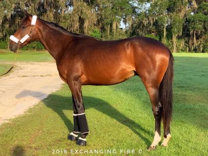 Fire's Finale at T-Square Stud on Tuesday, April 21, 2020 (Adam Parker)