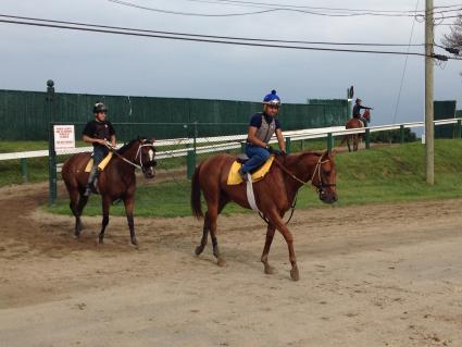 Monmouth Park, Kenwood Racing, NY Bred