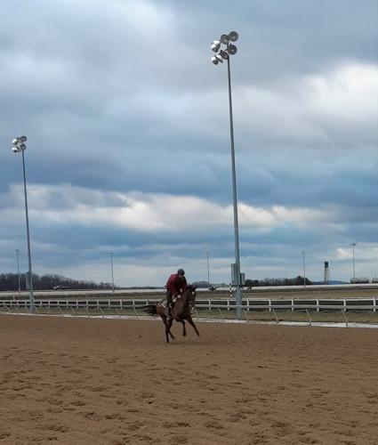 Blu Candy training at Penn National on January 27, 2021 (Mark Salvaggio)