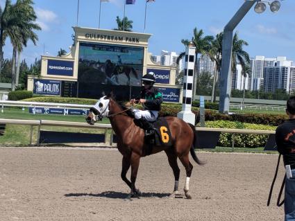 Adios Charlie filly Blue Eyed Beth in race 4 at Gulfstream Park on May 17, 2019 (Cyn L)