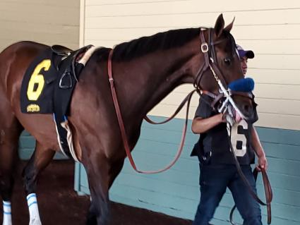 Ghostzapper colt Bullion in race 7 at Santa Anita on April 6, 2019. (Carter Biddle)