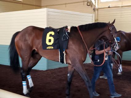 Ghostzapper colt Bullion in race 7 at Santa Anita on April 6, 2019. (Carter Biddle)