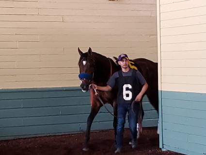 Ghostzapper colt Bullion in race 7 at Santa Anita on April 6, 2019. (Carter Biddle)