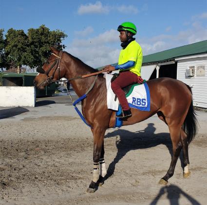 Sky Mesa filly Charming Emmy at Gulfstream Park on February 21, 2018 (Robb Levinsky)