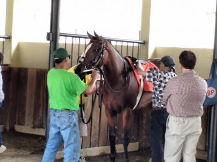 Sky Mesa filly Charming Emmy in race 3 at Timonium (Paul Callahan)