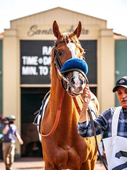 More Ice in the Santa Anita Derby on April 6, 2019 (Christian Murillo)
