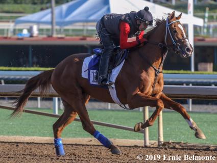 More Ice training at Santa Anita on Friday, April 12, 2019 (Ernie Belmonte)