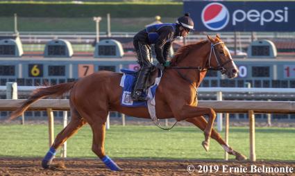 More Ice training at Santa Anita on April 19, 2019 (photo courtesy of Ernie Belmonte)