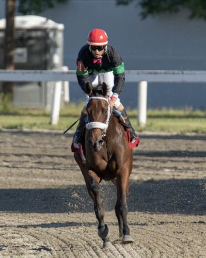 Diamond Play wins race 9 at Suffolk Downs on September 16, 2018. (Keith Luke)