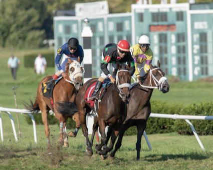 Diamond Play wins race 9 at Suffolk Downs on September 16, 2018. (Keith Luke)