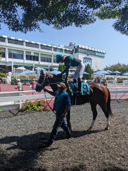 Easy as A.B.C, with Jose Ortiz up, in the paddock for Race 2 at Monmouth Park on Saturday, September 17, 2022 (Scott Schaub)
