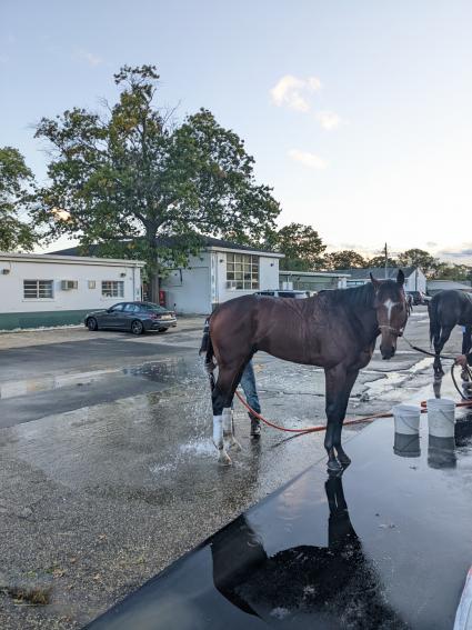 Easy as A.B.C. at Monmouth Park on October 8, 2022 (Scott Schaub)