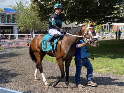 Easy as A.B.C, with Jose Ortiz up, in the paddock for Race 2 at Monmouth Park on Saturday, September 17, 2022 (Robert Bulger)