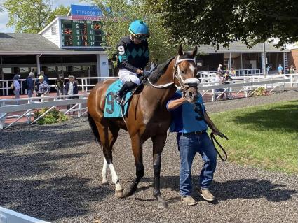 Easy as A.B.C, with Jose Ortiz up, in the paddock for Race 2 at Monmouth Park on Saturday, September 17, 2022 (Robert Bulger)