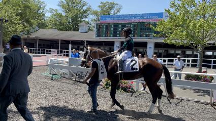 Easy as A.B.C. in Race 2 at Monmouth Park on July 23, 2022 (Christopher Driscoll)