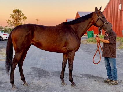 Exchanging Ember on Penn National on September 7, 2019 (Adam Parker)