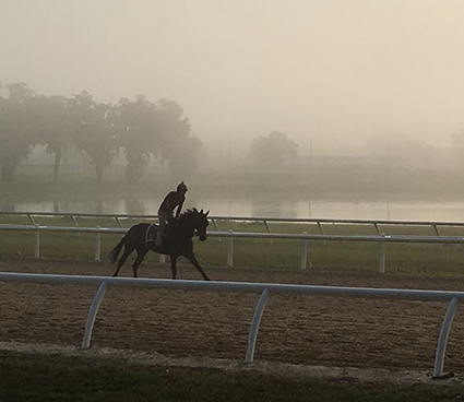 Exchanging Ember - Kenwood Racing