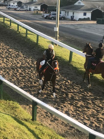 Federal Dominance training at Monmouth Park on June 27, 2019 (Kelly Breen)