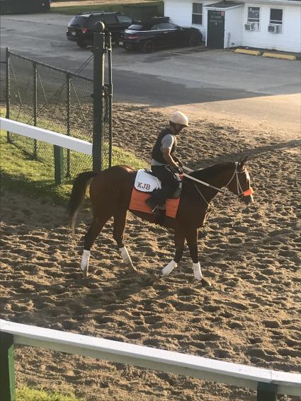 Federal Dominance training at Monmouth Park on June 27, 2019 (Kelly Breen)
