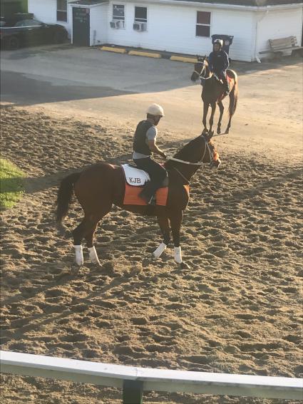 Federal Dominance training at Monmouth Park on June 27, 2019 (Kelly Breen)