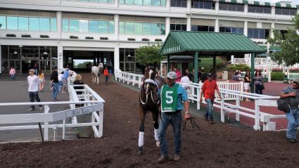 Federal Dominance, with Nik Juarez up, in race 12 at Monmouth Park on June 15, 2019 (Chris Driscoll)