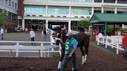 Federal Dominance, with Nik Juarez up, in race 12 at Monmouth Park on June 15, 2019 (Chris Driscoll)