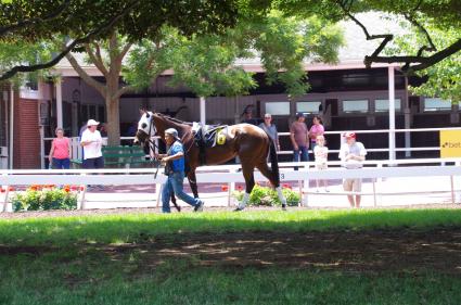 Fifty Eight OG at Monmouth Park