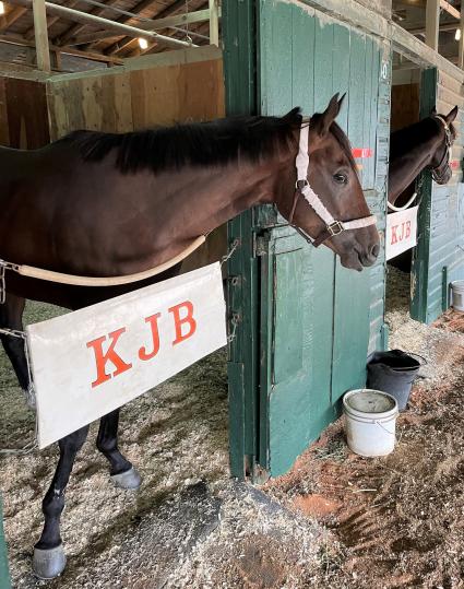 Fire's Finale arrives at Monmouth Park on Friday, May 7, 2021 (Kelly Breen)