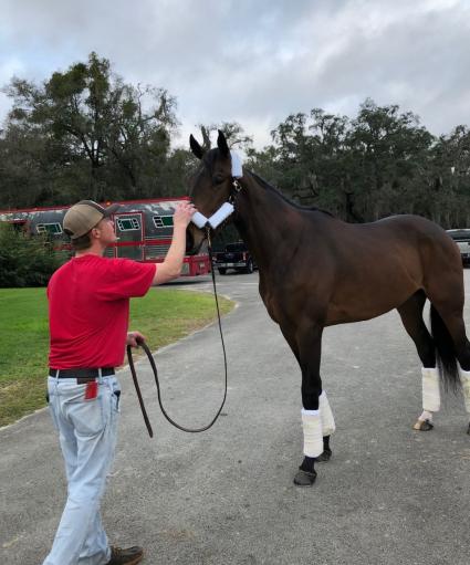 Fire's Finale returns to training on February 18, 2021 (Nick de Meric)