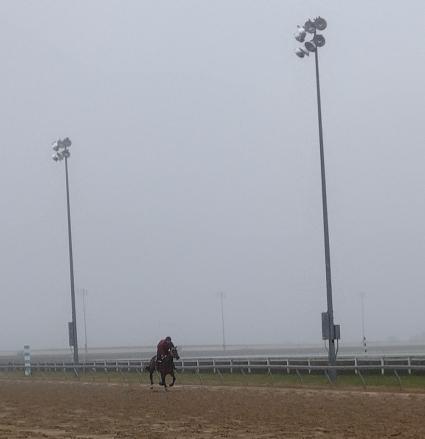 Fire's Finale trains at Penn National on December 15, 2021 (Mark Salvaggio)