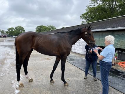 Fire's Finale at Monmouth Park on May 28, 2022 (Christopher Driscoll)