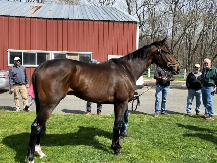 Fire's Finale at Overbrook Farm on Saturday, April 16, 2022 (Christopher Driscoll)
