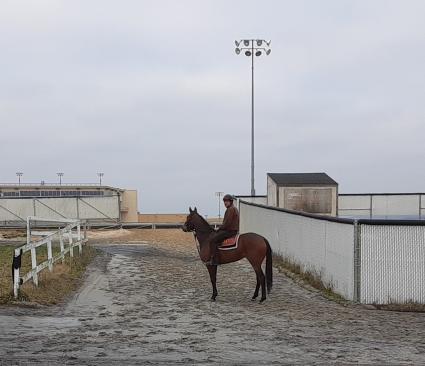 Giuliana Vee training at Penn National on March 26, 2020 (Mark Salvaggio)