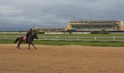 Giuliana Vee at Penn National on May 18, 2020 (Mark Salvaggio)