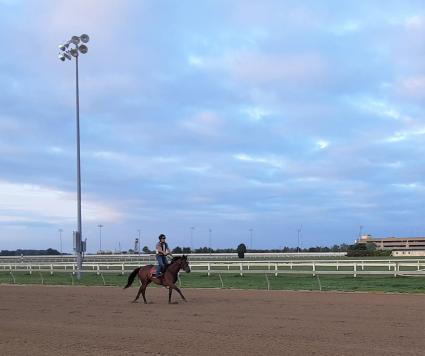 Giuliana Vee trains at Penn National on August 8, 2020 (Mark Salvaggio)