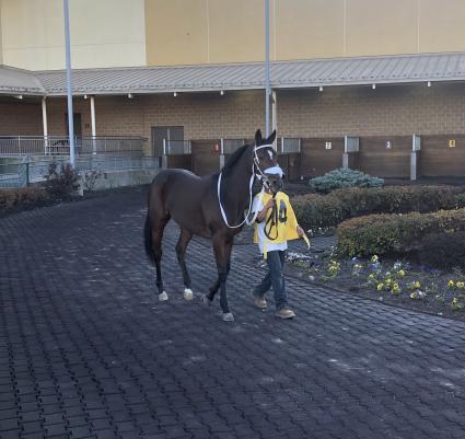 Giuliana Vee makes her career debut in R1 at Penn National on October 24, 2019 (Michelle Perullo)