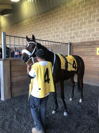 Giuliana Vee makes her career debut in R1 at Penn National on October 24, 2019 (Michelle Perullo)