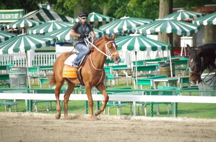 Flat Out filly Harbour Way at Monmouth Park