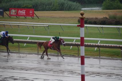 Harbour Way, with Albin Jimenez in the saddle, breaks her maiden in race 1 at Monmouth Park on July 15, 2018