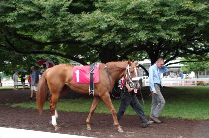 Harbour Way breaks her maiden in race 1 at Monmouth Park on July 15, 2018